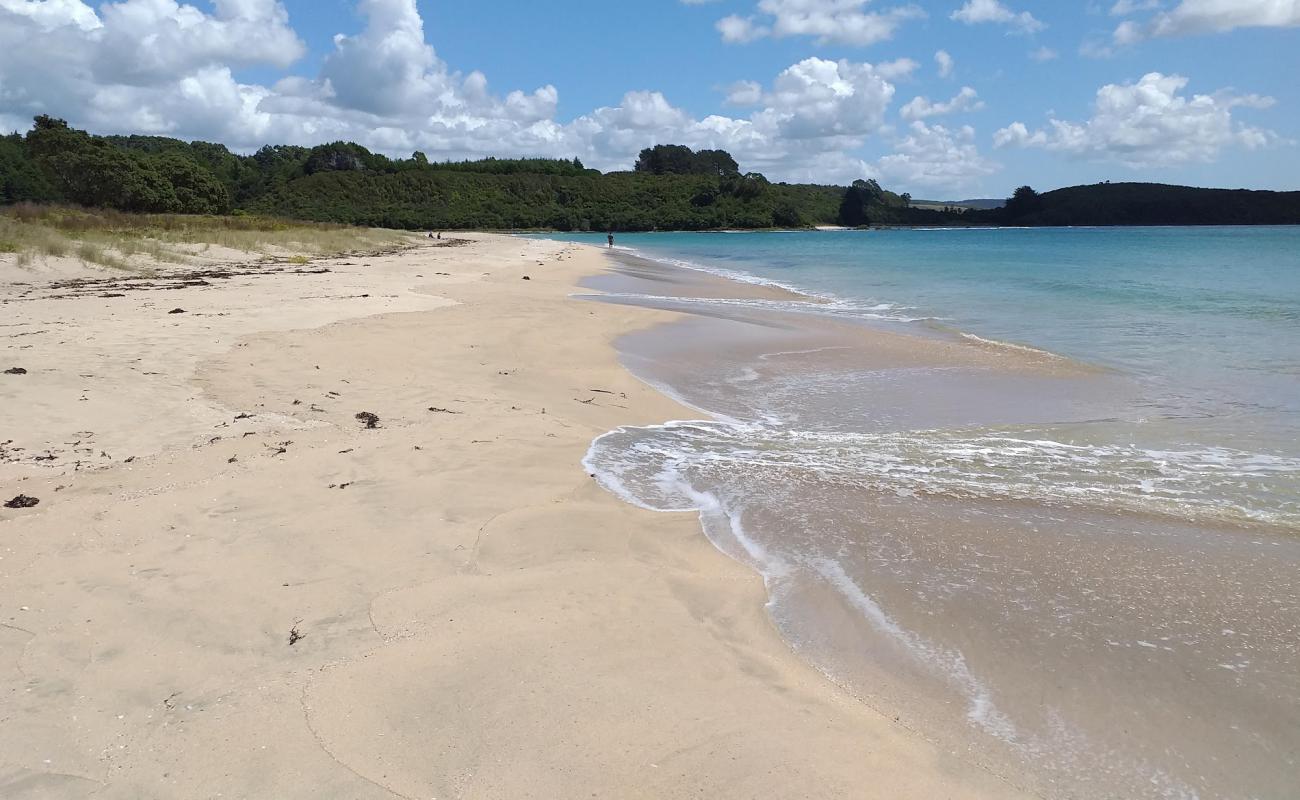 Photo de Tapuaetahi Beach avec sable lumineux de surface