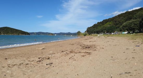 Paihia Beach