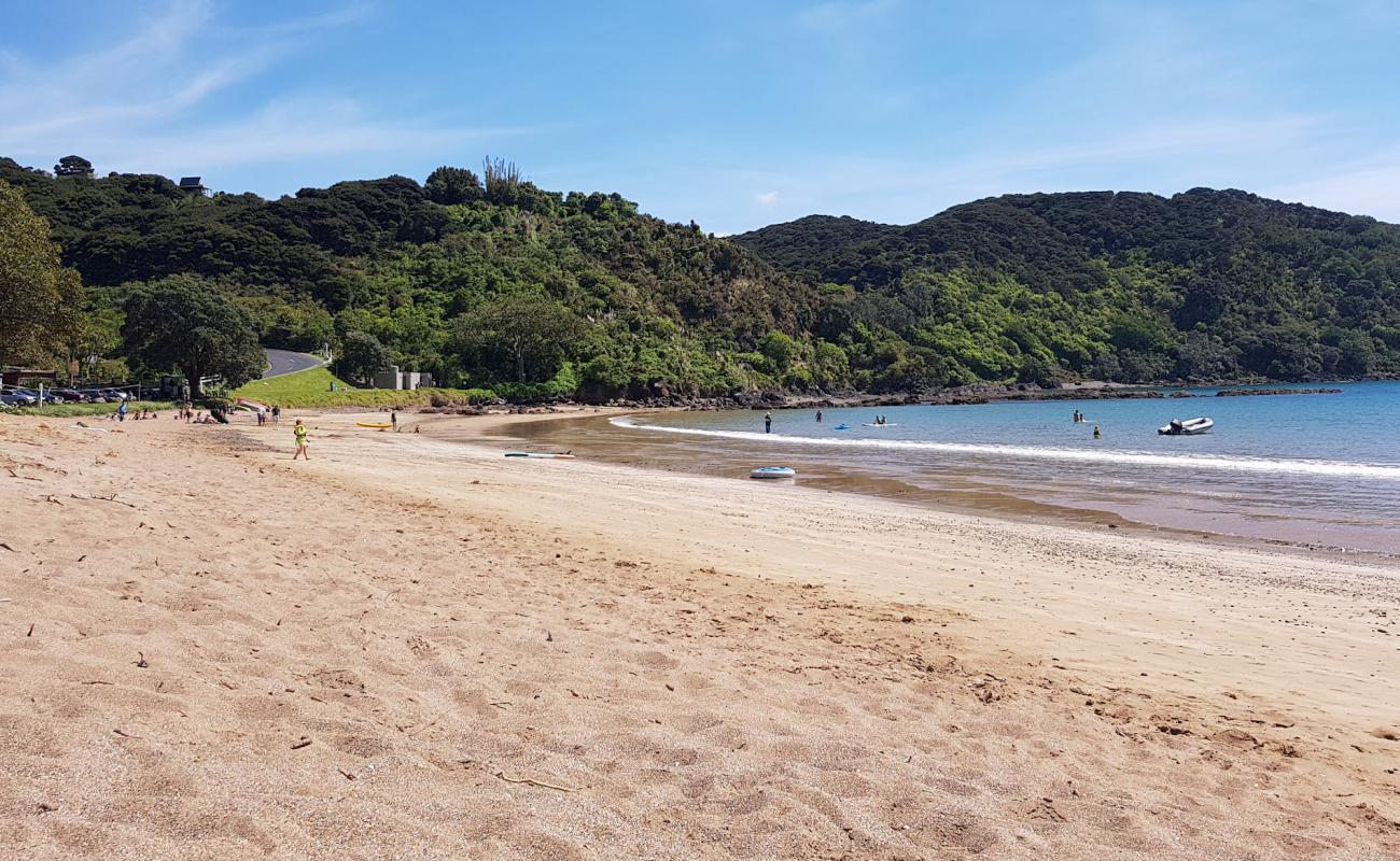 Photo de Oneroa Bay Beach avec sable beige de surface