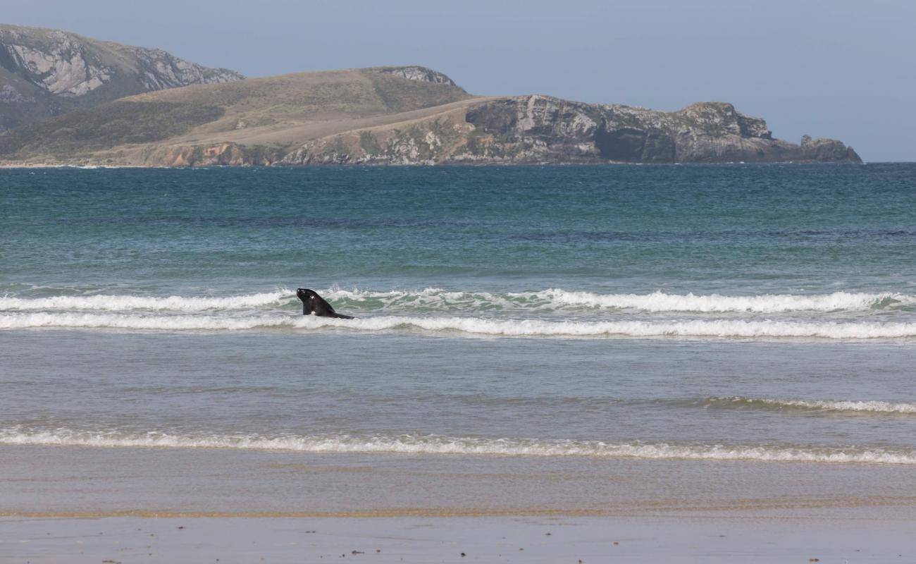 Photo de Jacks Bay Beach avec sable beige de surface