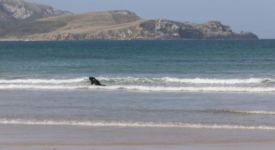 Jacks Bay Beach