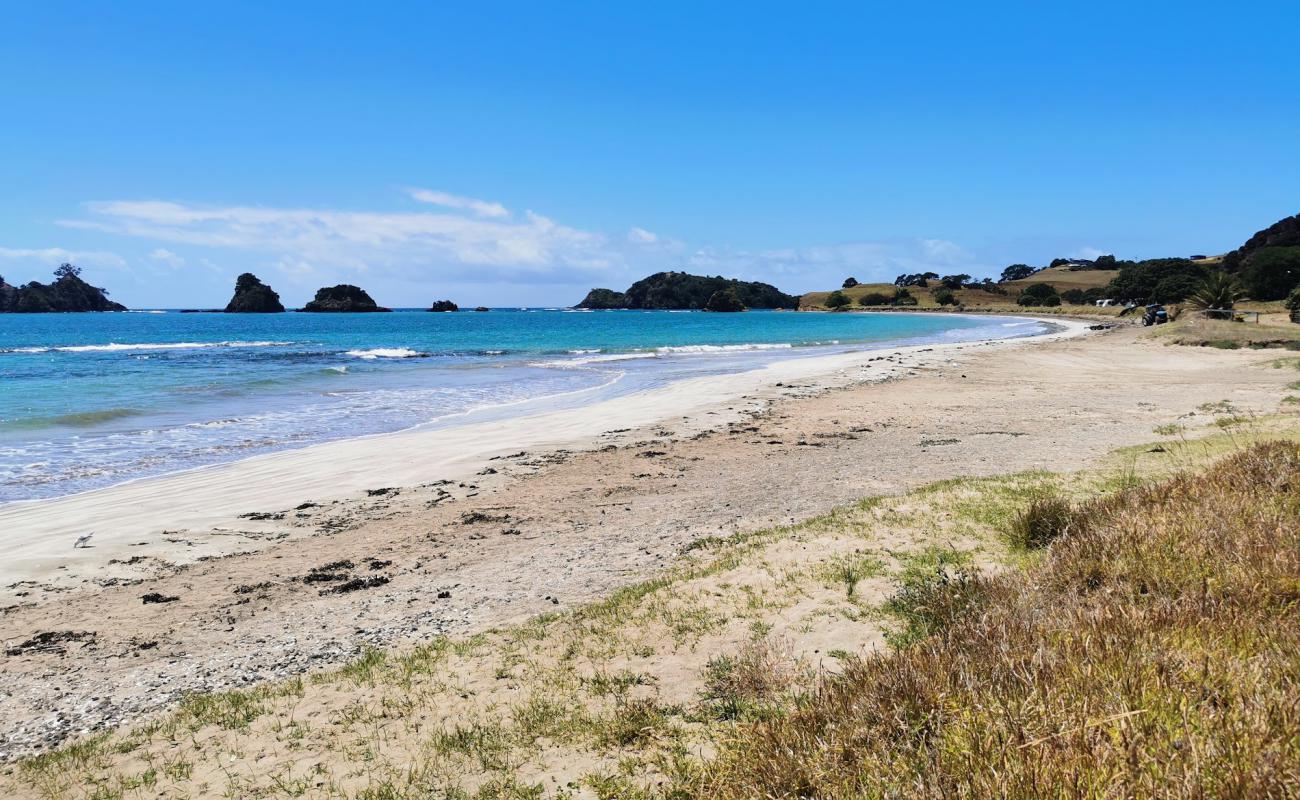 Photo de Tuparehuia Beach avec galets beige de surface