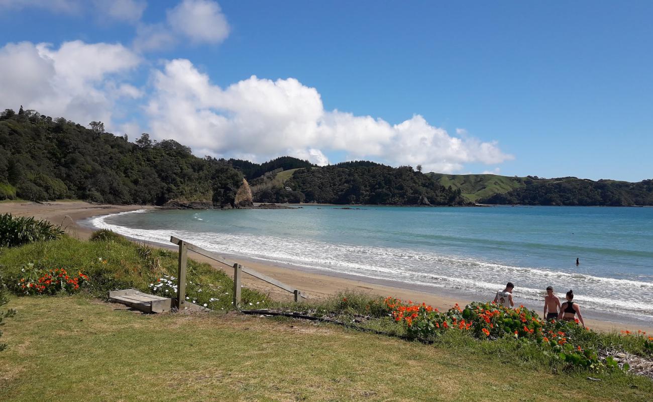 Photo de Helena Bay Beach avec sable lumineux de surface