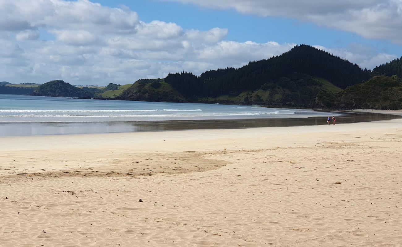 Photo de Whananaki South Beach avec sable lumineux de surface