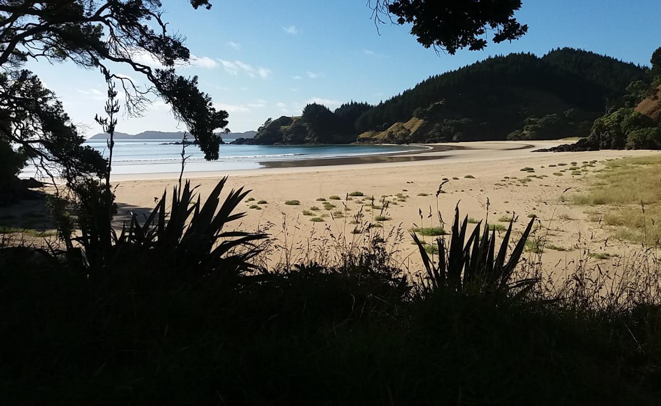 Photo de Grahams Bay Beach avec sable lumineux de surface