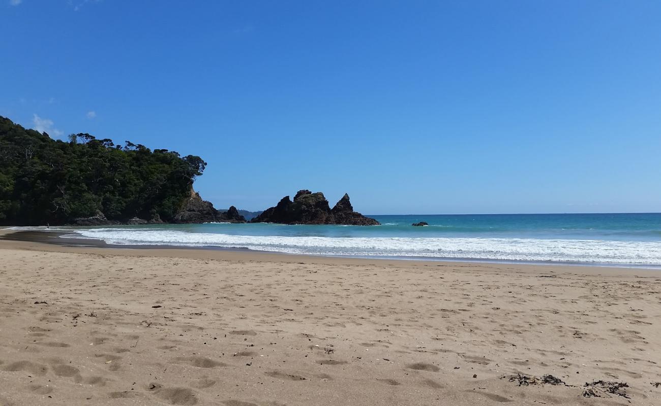 Photo de Woolleys Bay Beach avec sable lumineux de surface