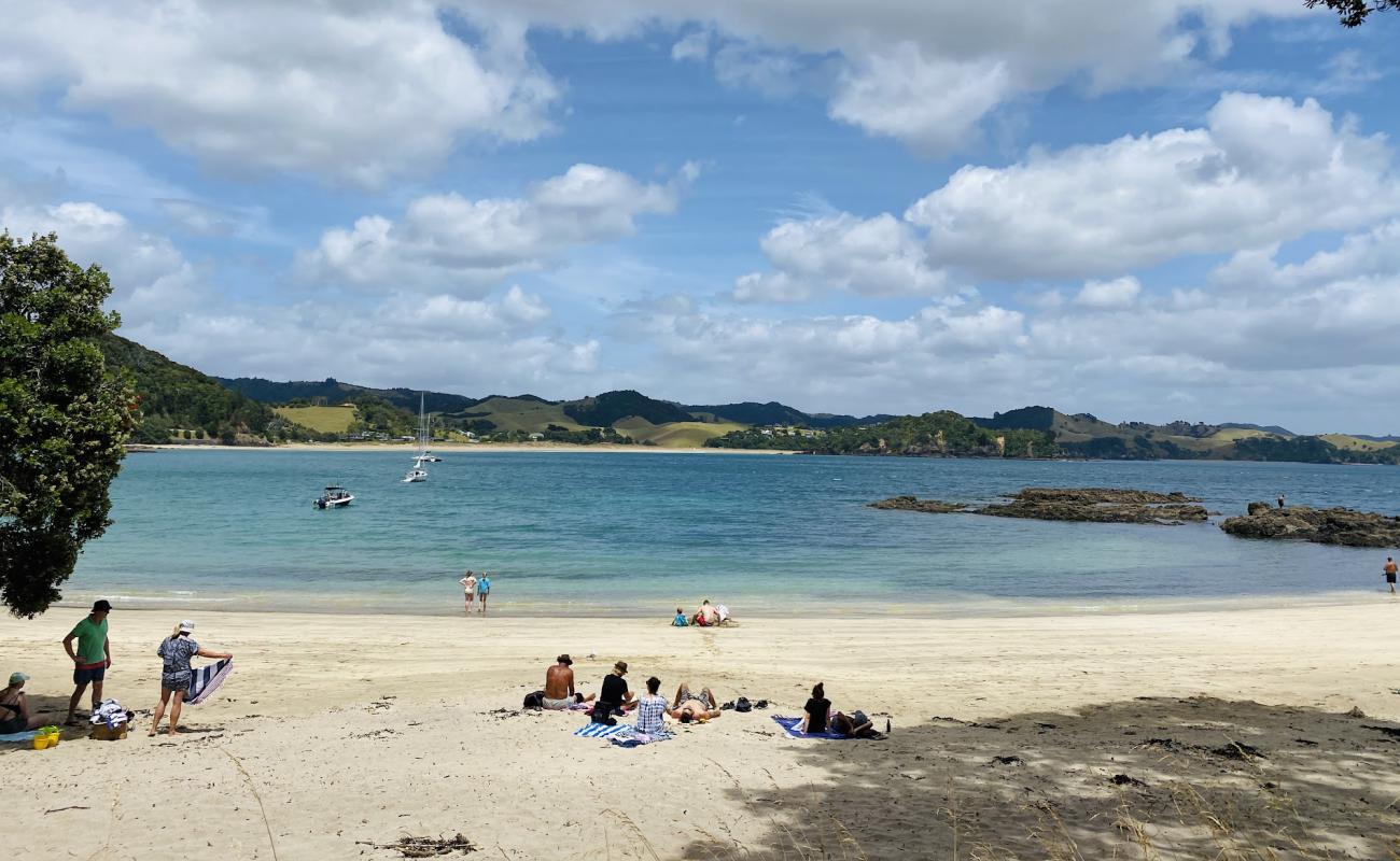 Photo de Whale Bay Beach avec sable lumineux de surface