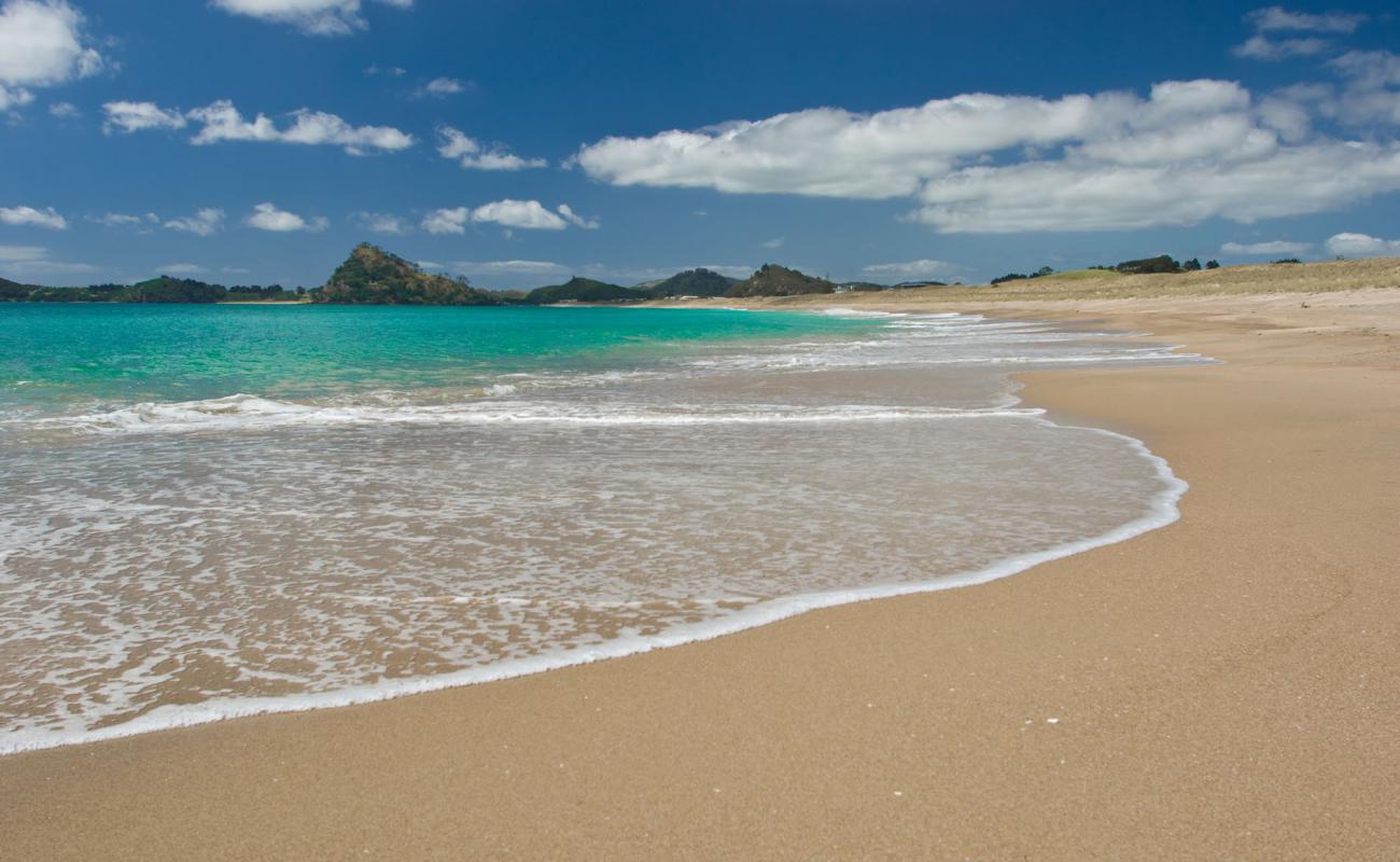 Photo de Parauwanui Beach avec sable lumineux de surface