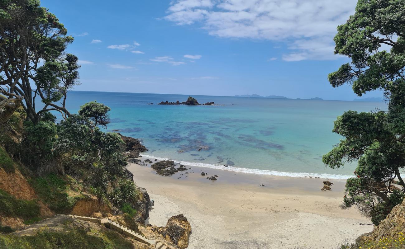 Photo de Kauri Mountain Beach avec sable lumineux de surface