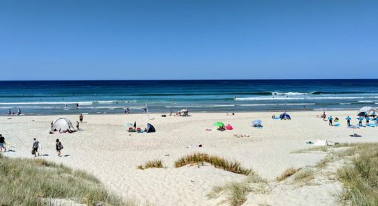 Te Arai Beach