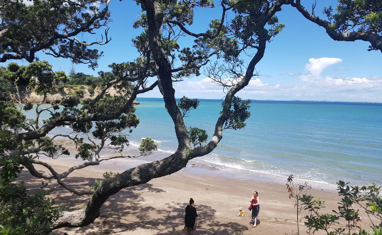 Photo de Little Manly Beach avec sable beige de surface