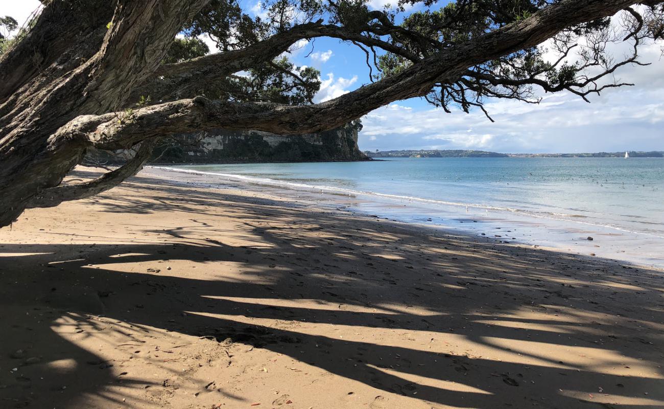 Photo de Pohutukawa Bay Beach avec sable beige de surface