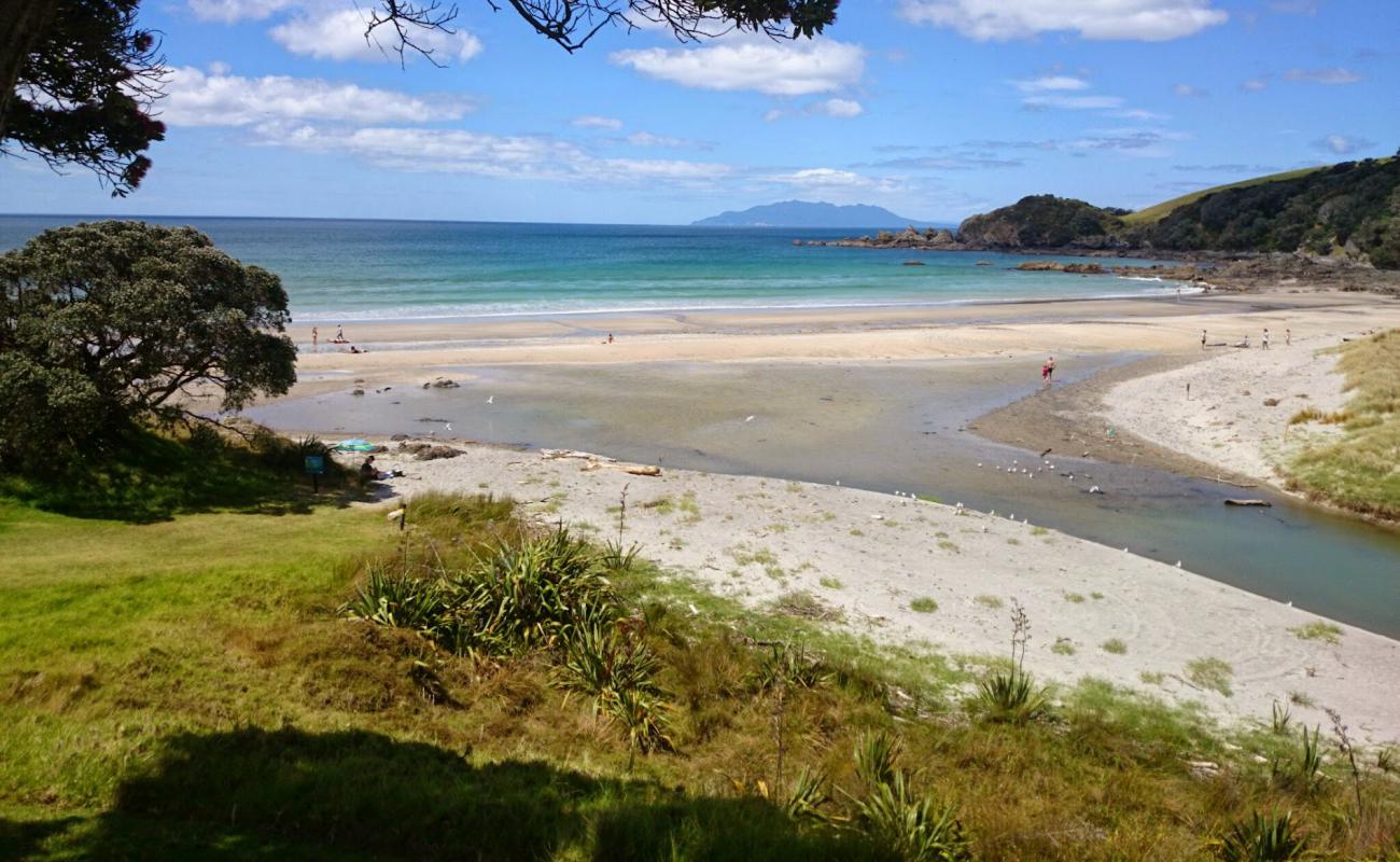 Photo de Waiake Beach avec sable beige de surface