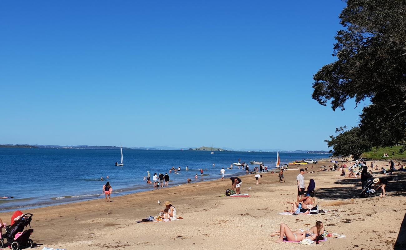 Photo de Narrow Neck Beach avec sable brun de surface