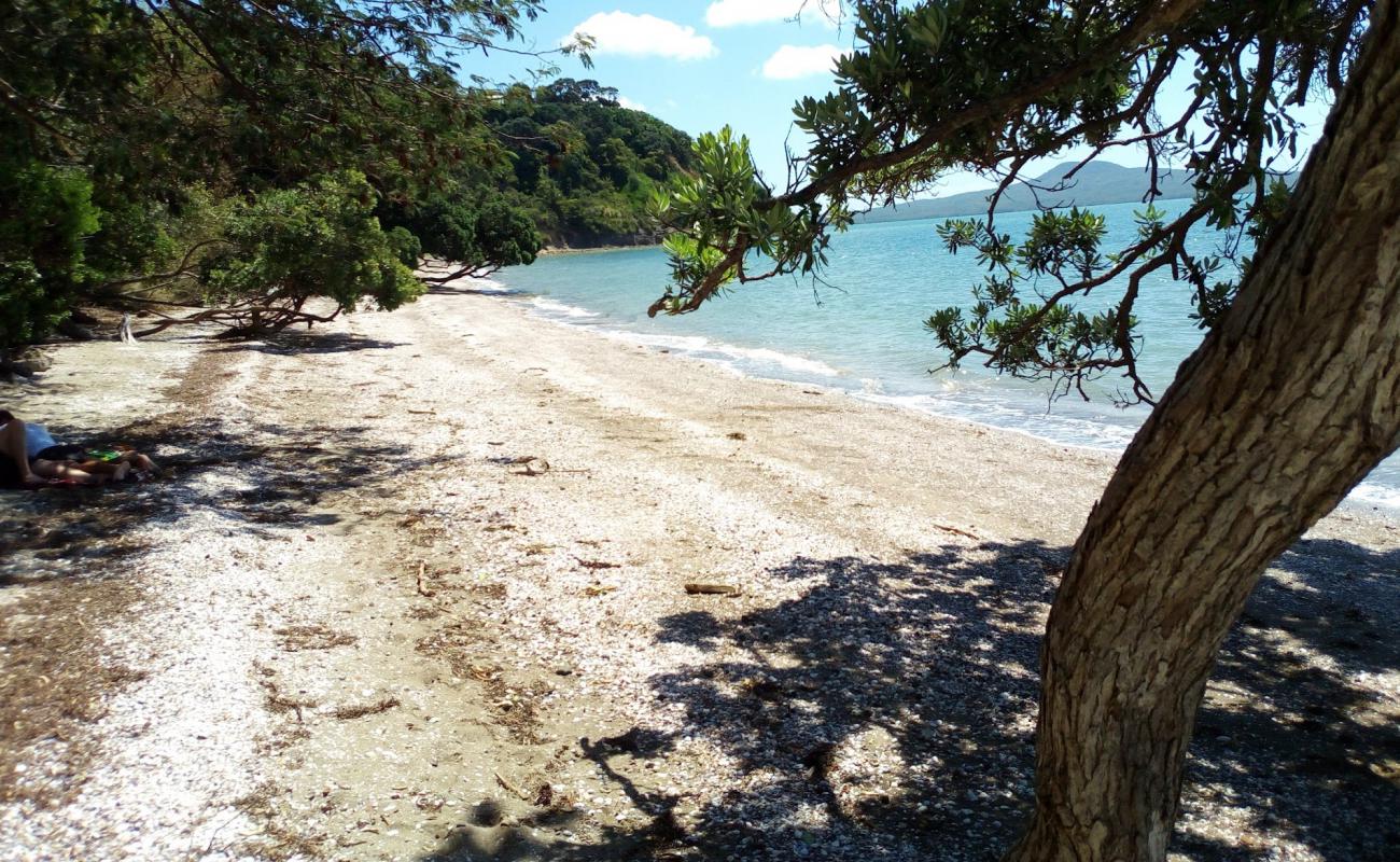 Photo de Karaka Bay Beach avec sable coquillé beige de surface