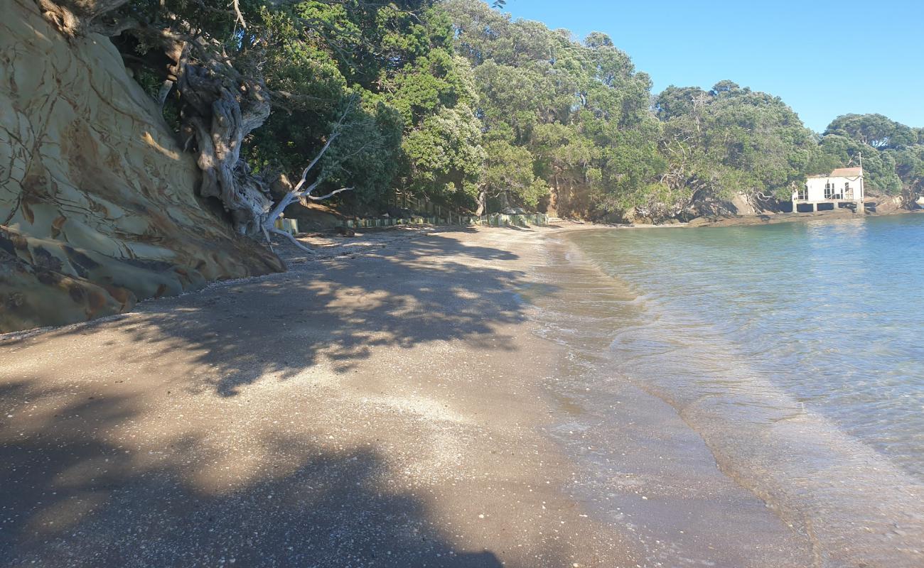Photo de Shelly Reserve Beach avec sable coquillé beige de surface