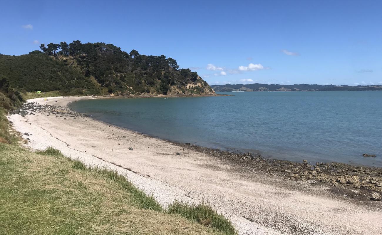Photo de Mataitai Bay avec petits galets beige de surface