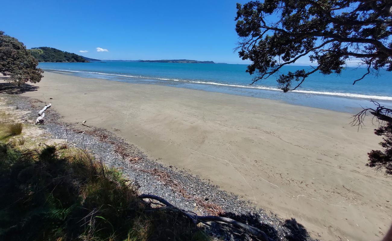 Photo de Tawhitokino Beach avec sable beige de surface
