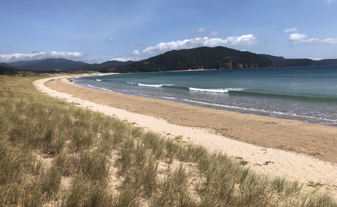 Photo de Waikawau Bay avec sable beige de surface