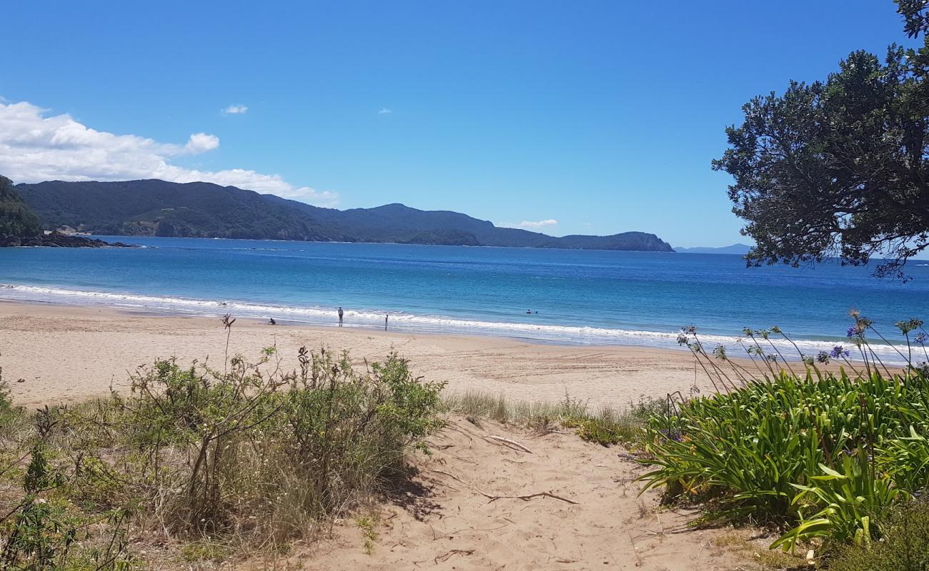 Photo de Little Bay Beach avec sable beige de surface
