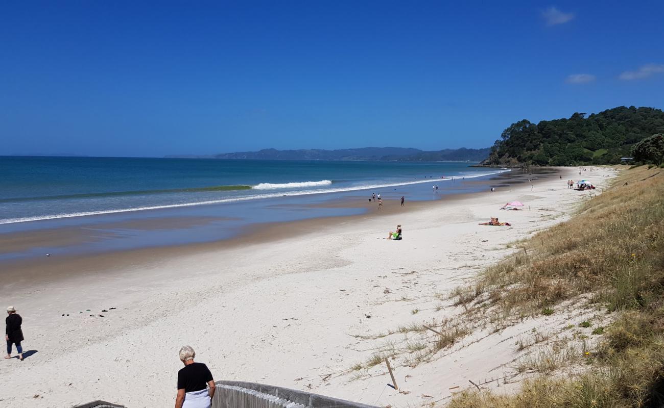 Photo de Whangapoua Beach avec sable beige fin de surface