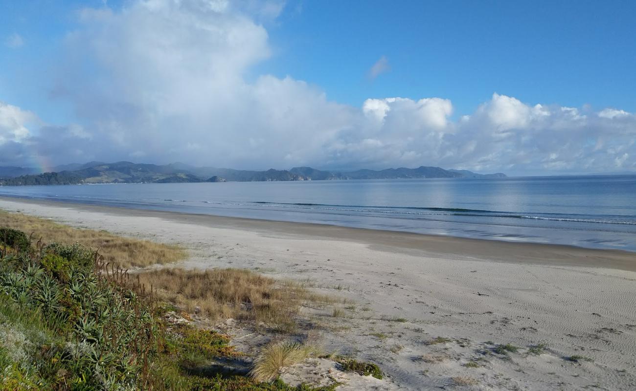 Photo de Matarangi Beach avec sable beige de surface