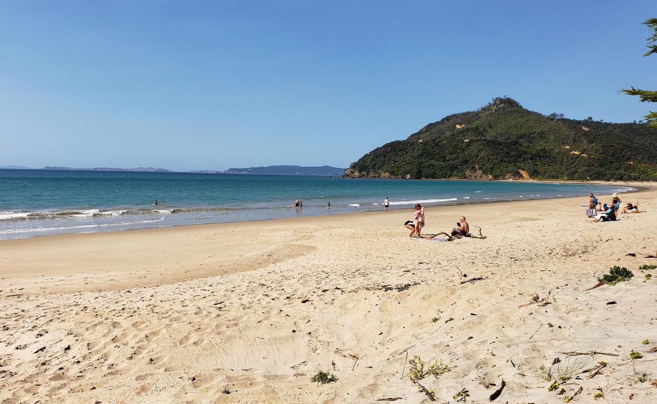 Photo de Kuaotunu Beach avec sable lumineux de surface