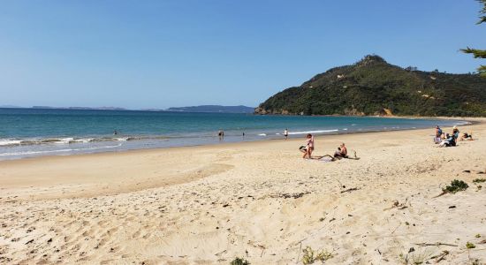 Kuaotunu Beach