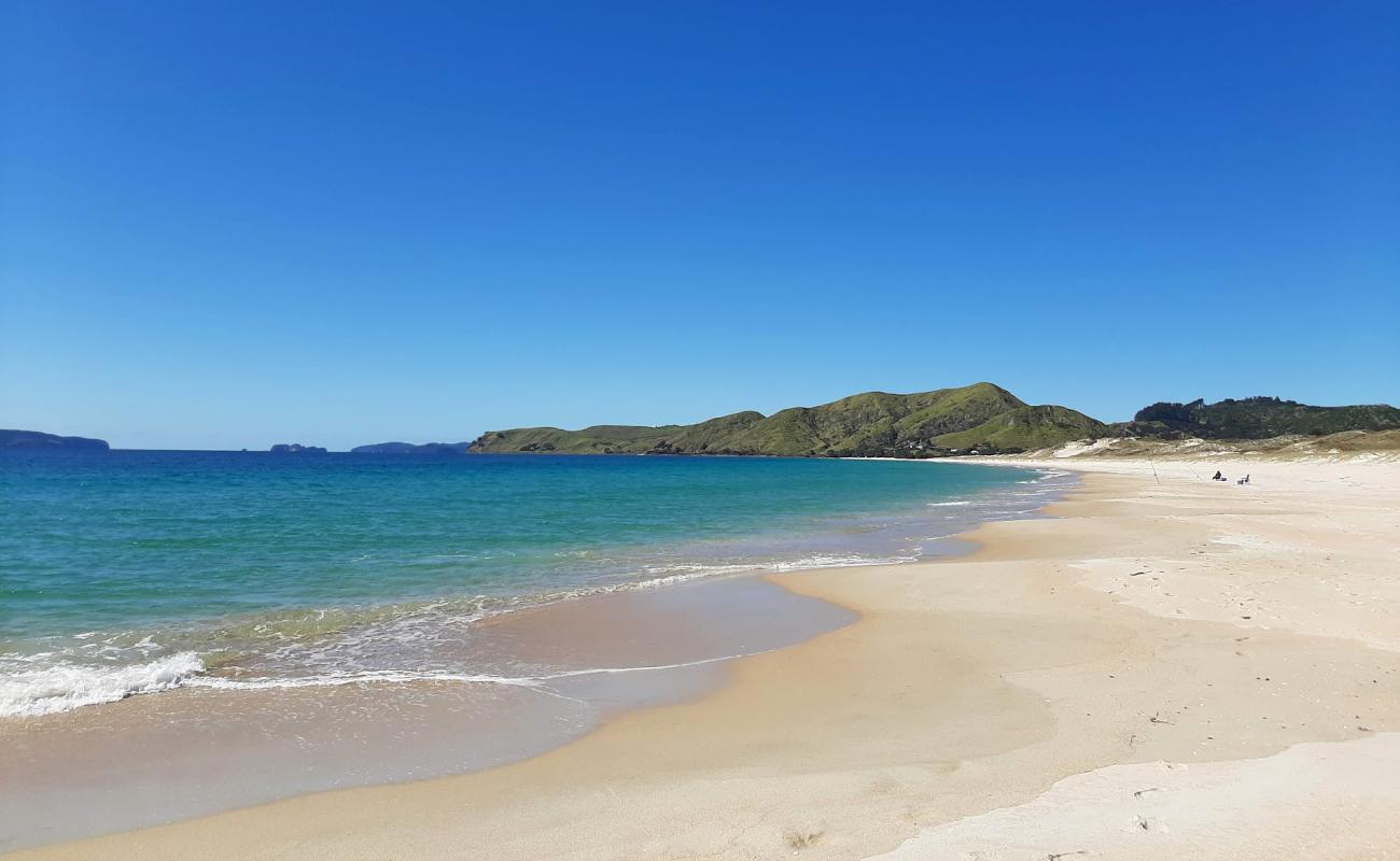 Photo de Otama Beach avec sable lumineux de surface