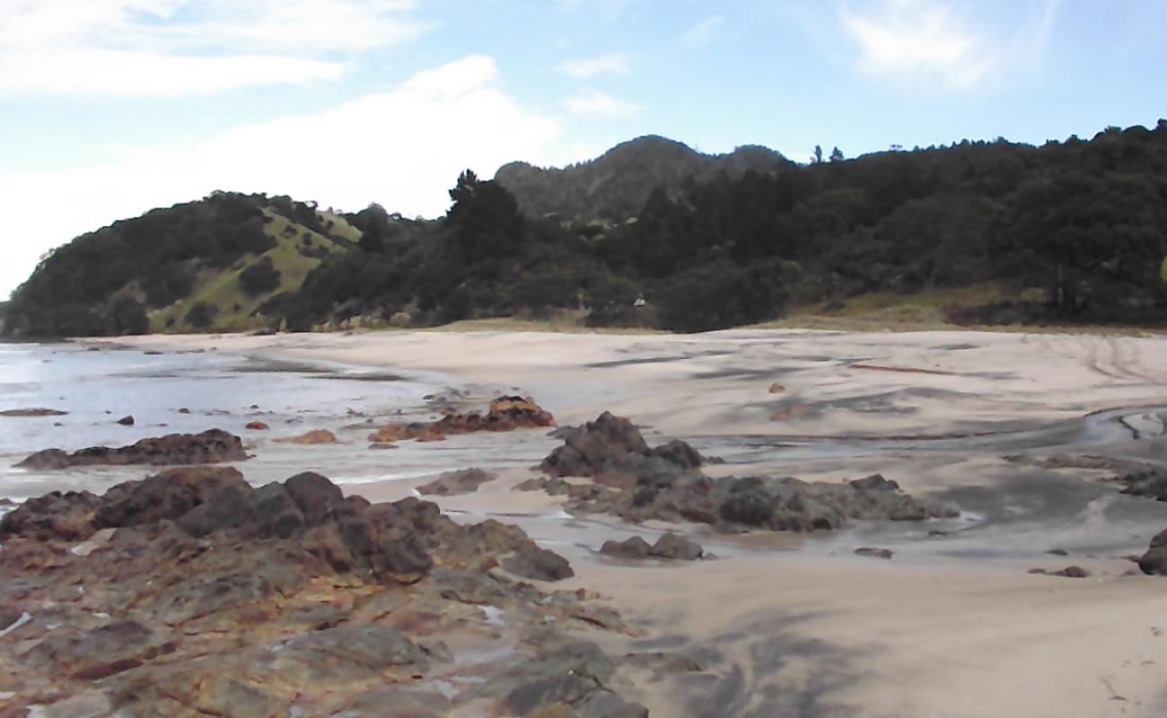 Photo de WhauWhau Beach avec sable lumineux de surface