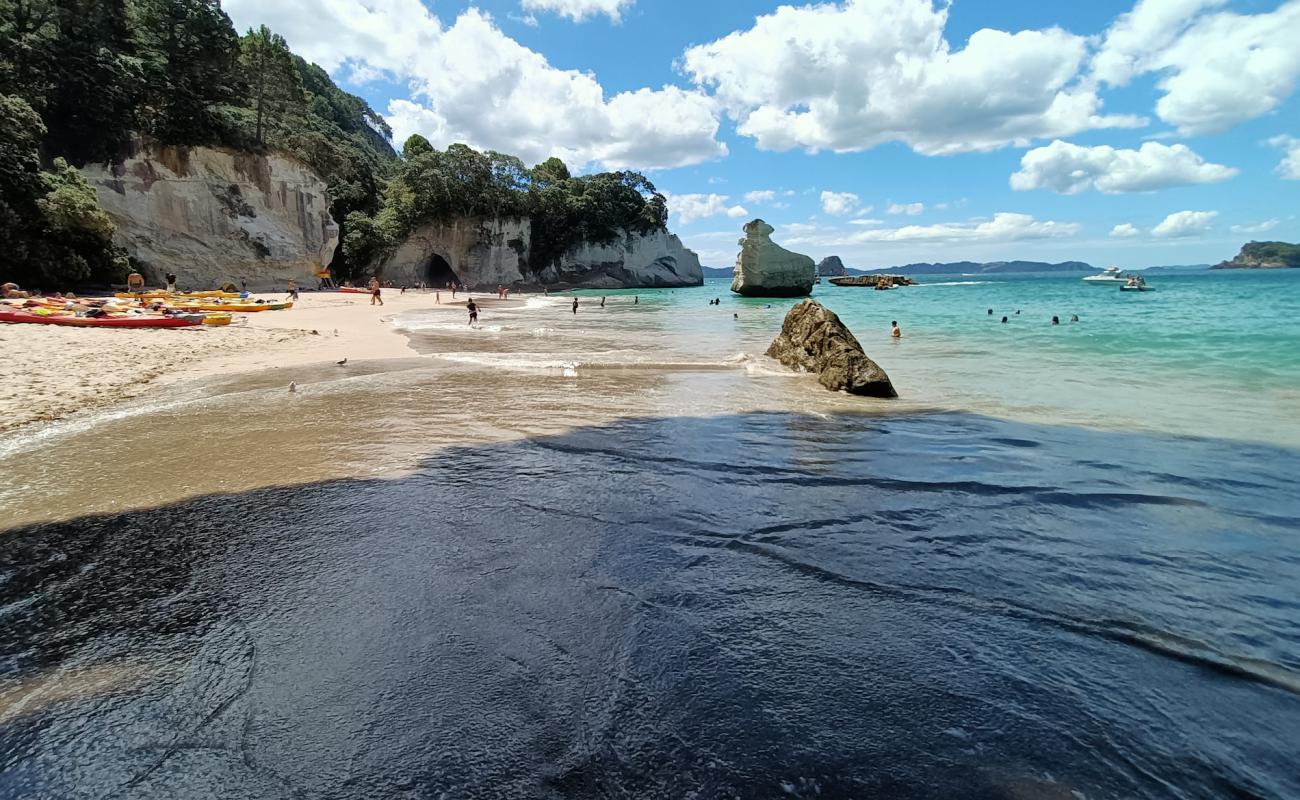 Photo de Cathedral Cove Beach avec sable fin et lumineux de surface