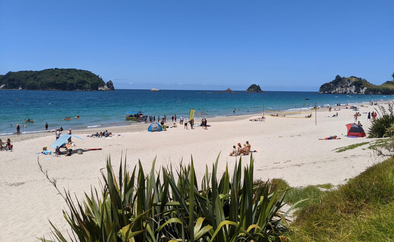 Photo de Hahei Beach avec sable lumineux de surface