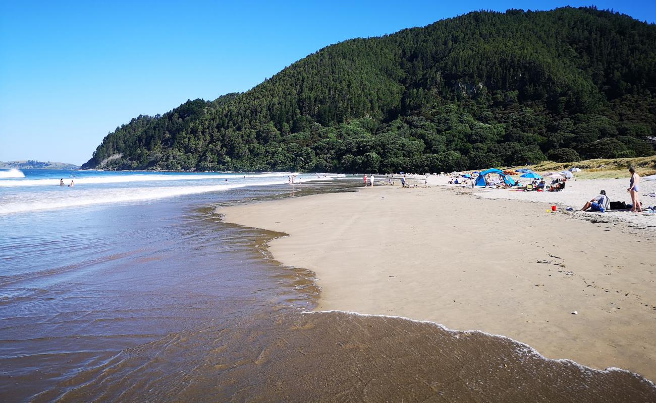 Photo de Pauanui Beach avec sable lumineux de surface