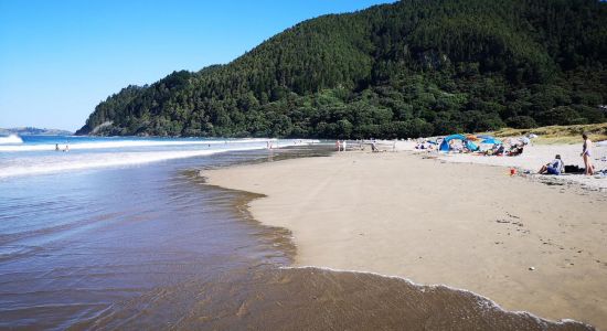 Pauanui Beach