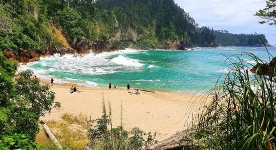 Pokohino Beach