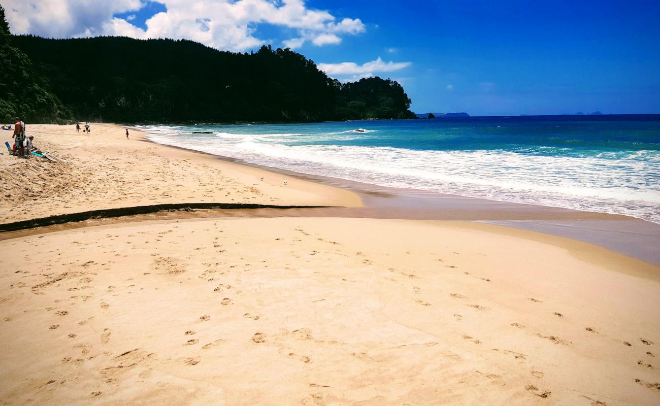 Photo de Onemana Beach avec sable lumineux de surface