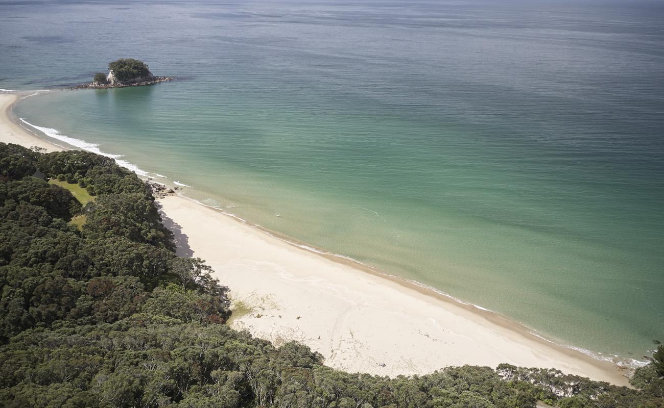 Photo de Will Hamilton Beach avec sable lumineux de surface