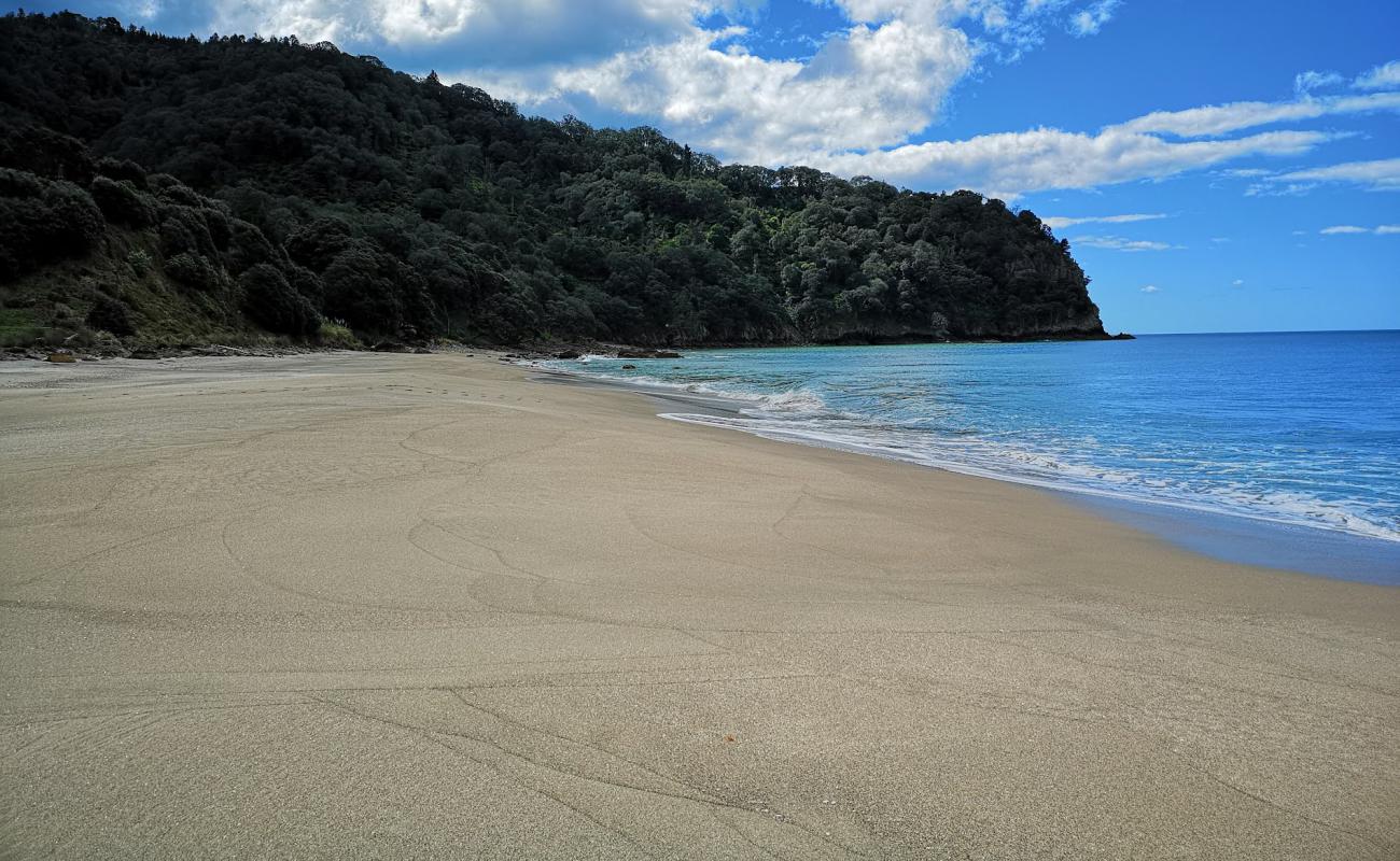 Photo de Homunga Beach avec sable lumineux de surface