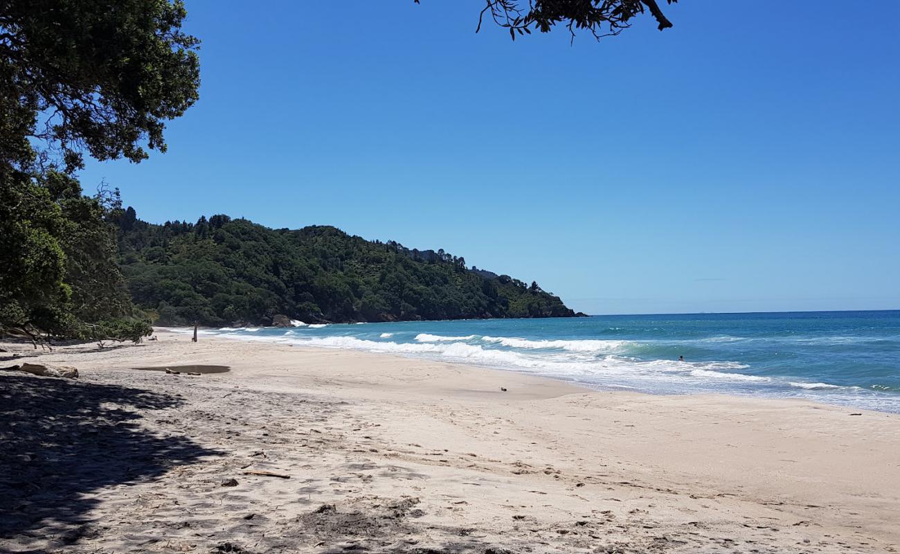 Photo de Orokawa Beach avec sable beige de surface