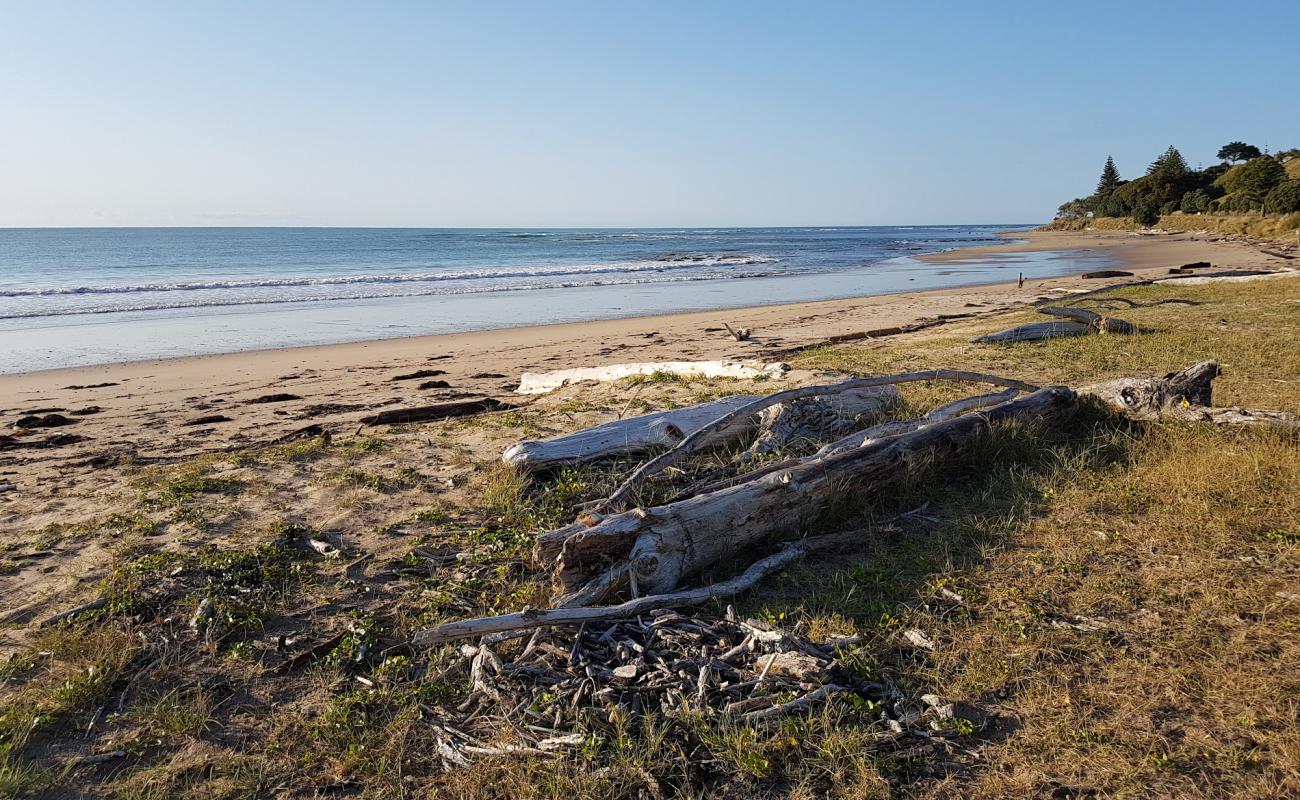 Photo de Turihaua Beach avec sable lumineux de surface