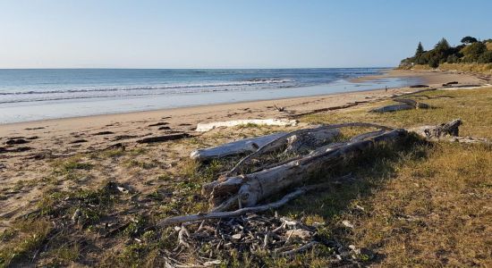 Turihaua Beach