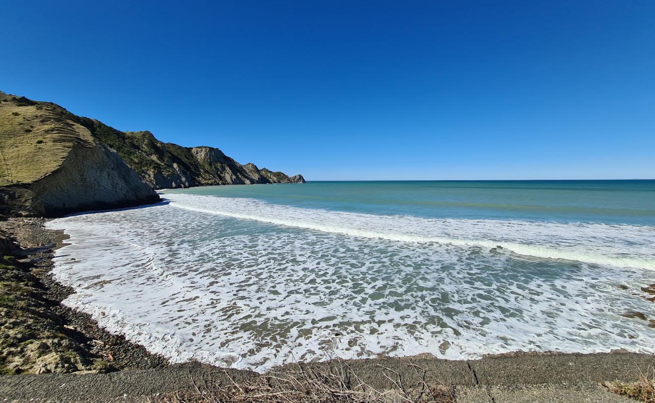 Photo de Sponge Bay Beach avec sable beige & galets de surface