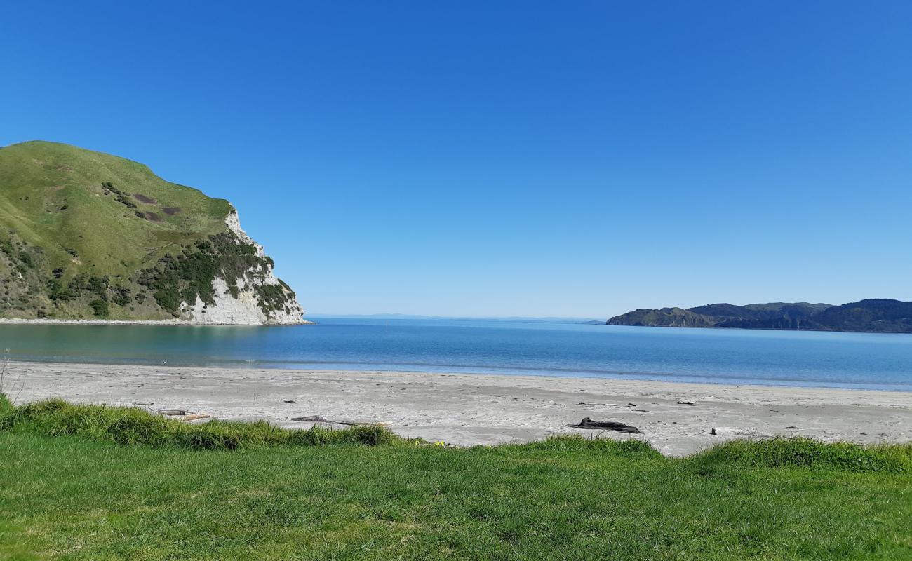 Photo de Opoutama Beach avec sable beige de surface