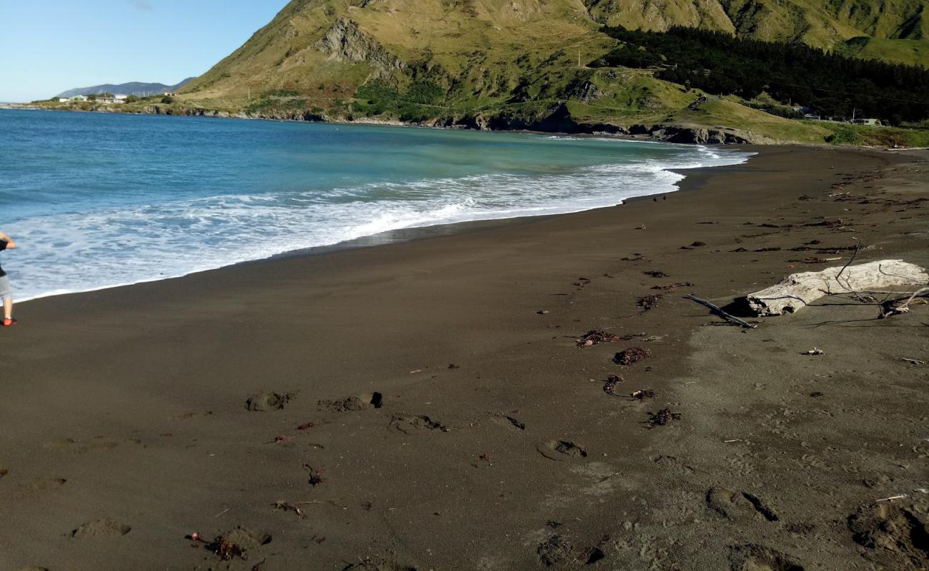 Photo de Te Awaiti Beach avec sable gris de surface