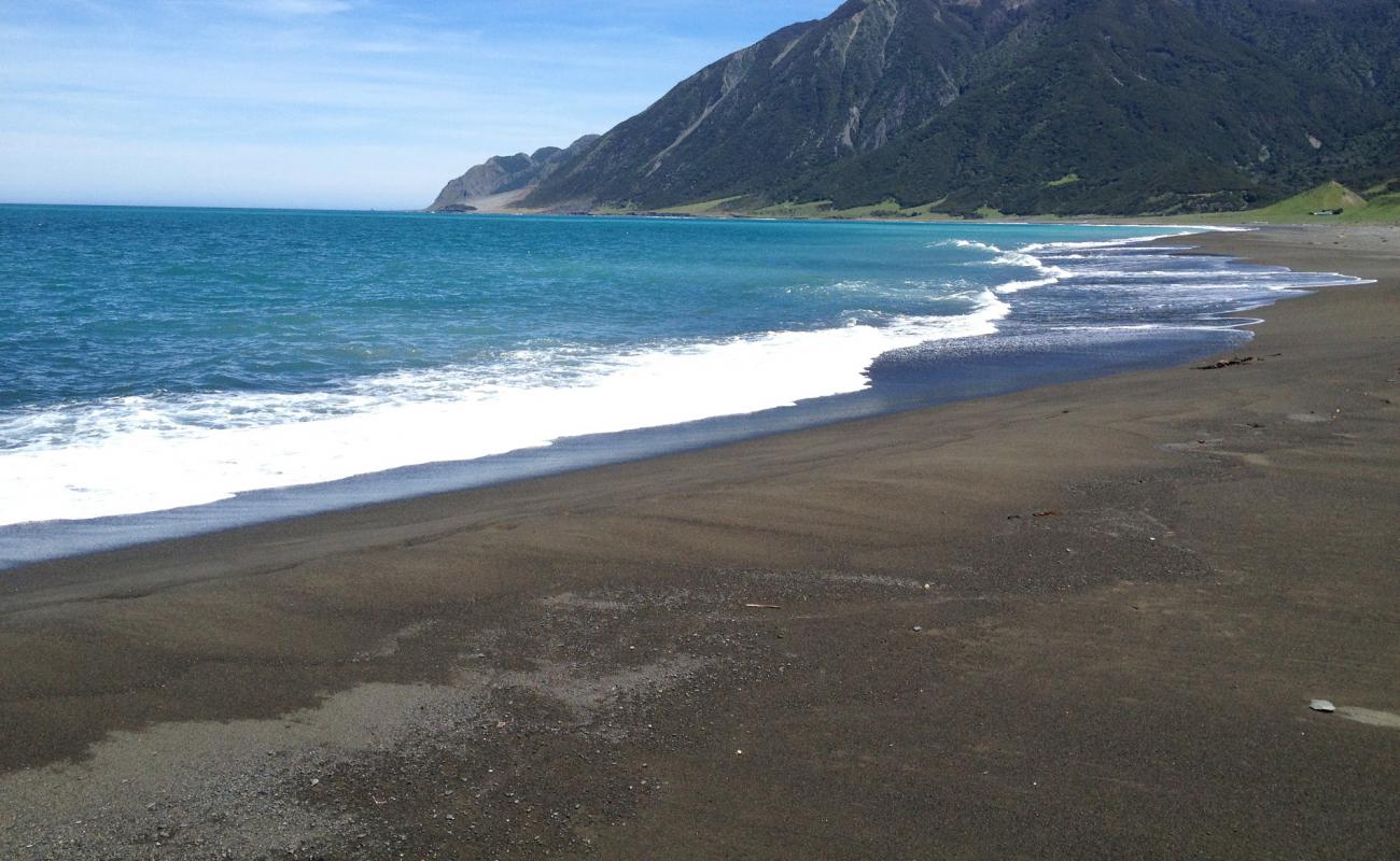 Photo de White Rock Beach avec sable gris de surface