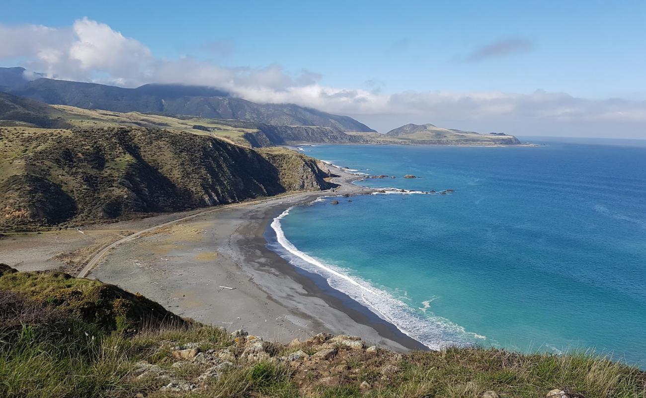 Photo de Pencarrow Head Beach avec caillou gris de surface