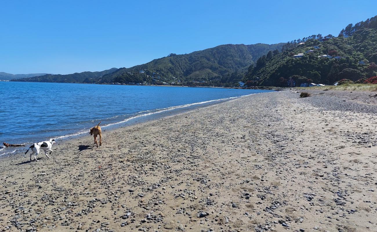 Photo de Rona Bay Beach avec caillou gris de surface