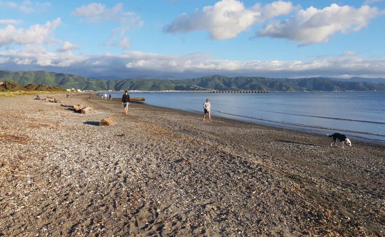 Photo de Petone Beach avec sable gris avec caillou de surface