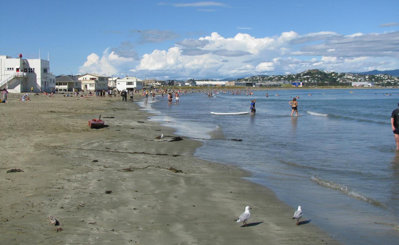 Photo de Lyall Bay avec sable gris de surface