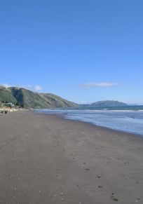 Région de Wellington